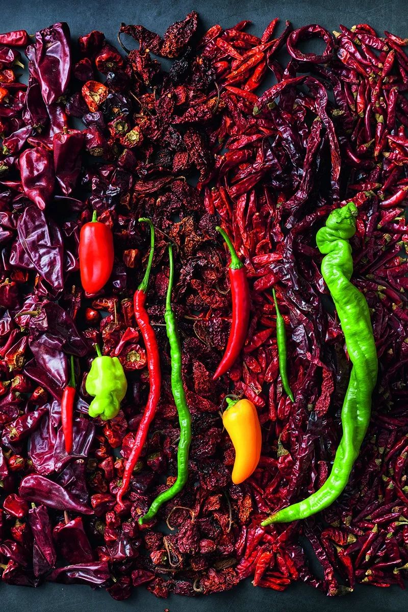 中国辣椒排行,中国又辣又香的辣椒排名