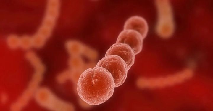 绁炵鏄忕潯鐥呯殑鐪熺浉,绁炵鐨勯粦姝荤梾娑堝け涔嬭皽