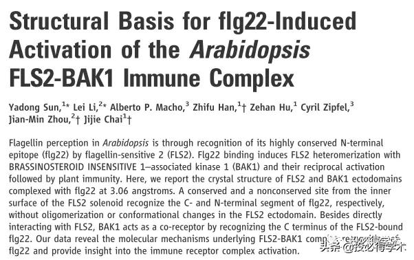 英文文献阅读概括技巧,快速阅读和总结英文文献神器