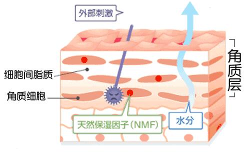 张韶涵坚持用护肤油5年，宋轶直接把油涂全身，难怪皮肤嫩出水