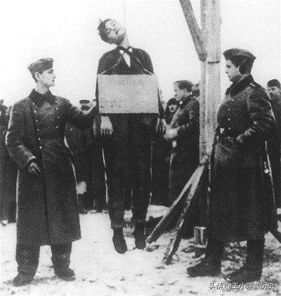 杀害卓娅的德军部队下场,杀害卓娅的德军332步兵团最后结果