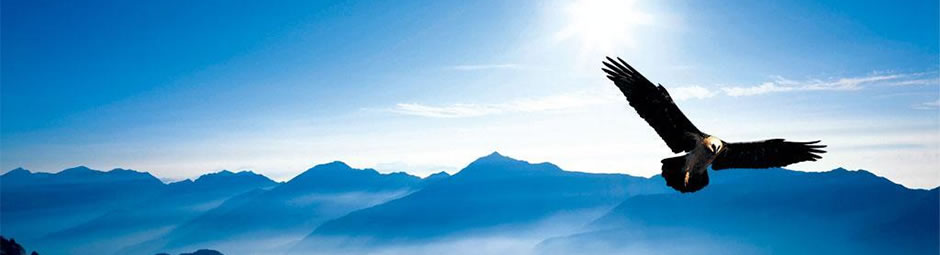 加盟合作协议模板,合作加盟协议模板