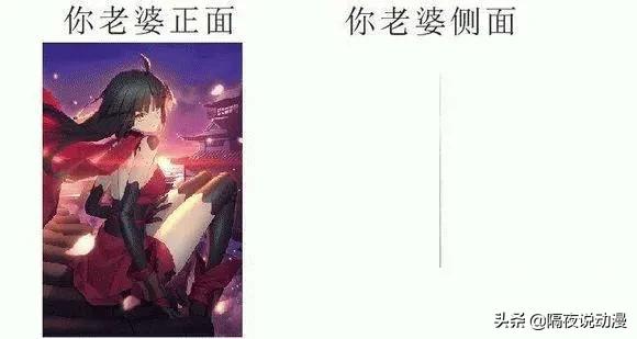 女博士和机器人恋爱,女博士与机器人对话