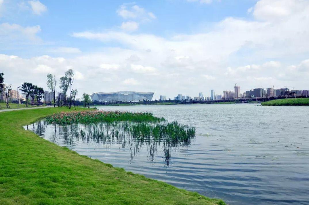 成都周边免费森林公园,成都十五个免费公园