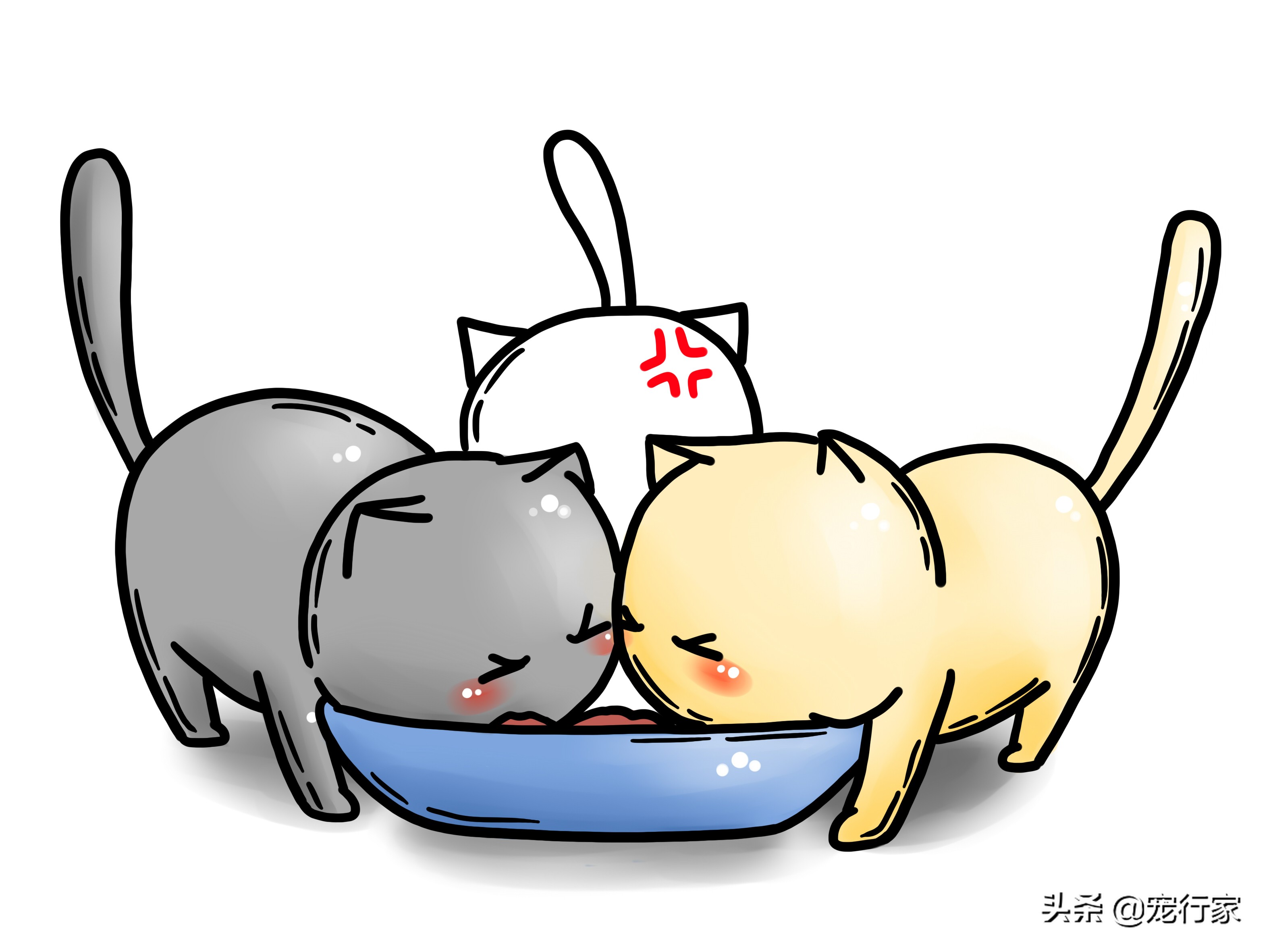 猫的呕吐物很油,猫呕吐的原因及治疗办法