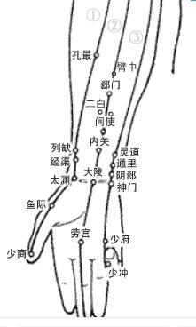 经络与神经是一种什么关系？