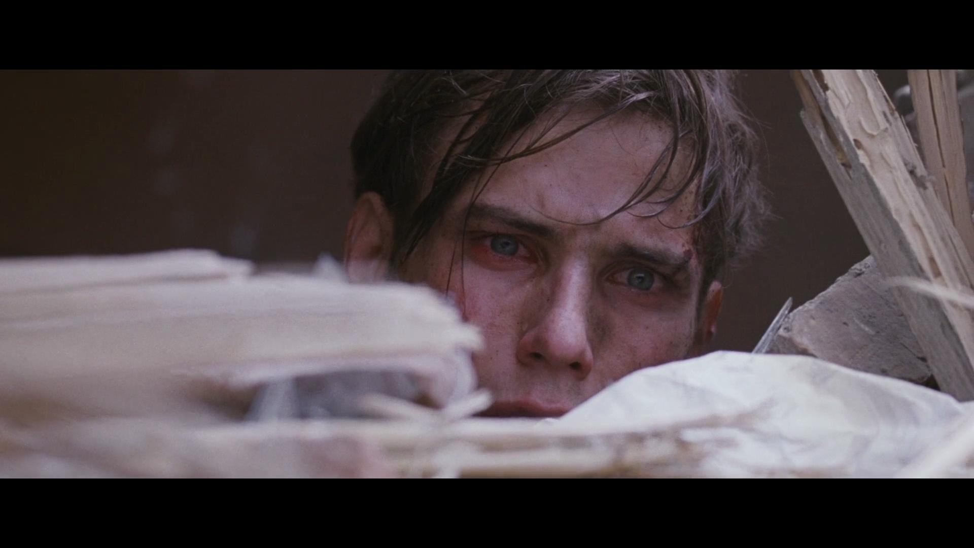 波兰电影高分,波兰电影高颜值