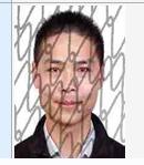 在哪查因为什么被执行失信名单,2020年宜州失信被执行人名单信息