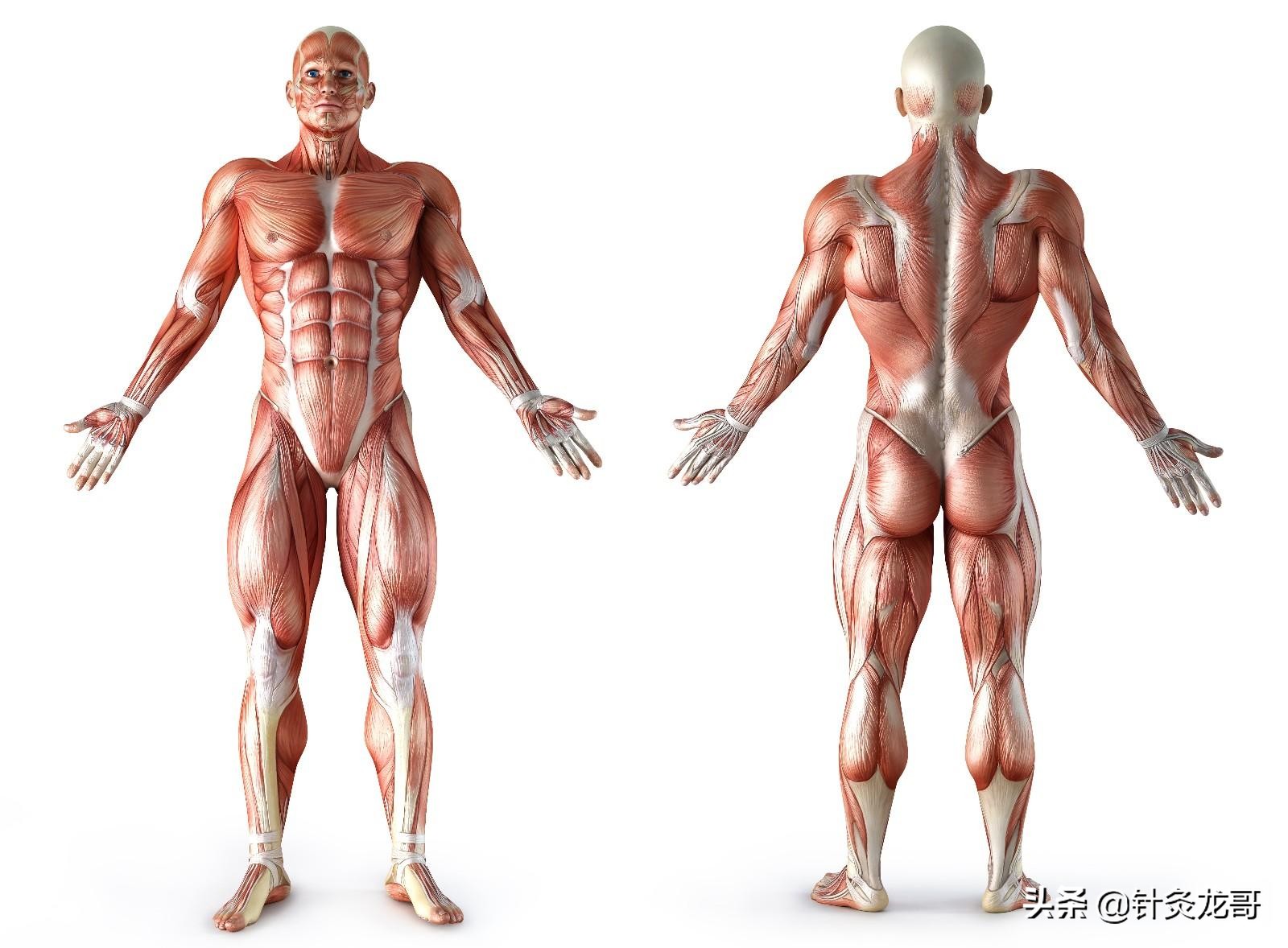 针灸埋线治疼痛,疼痛科的扎针疗法