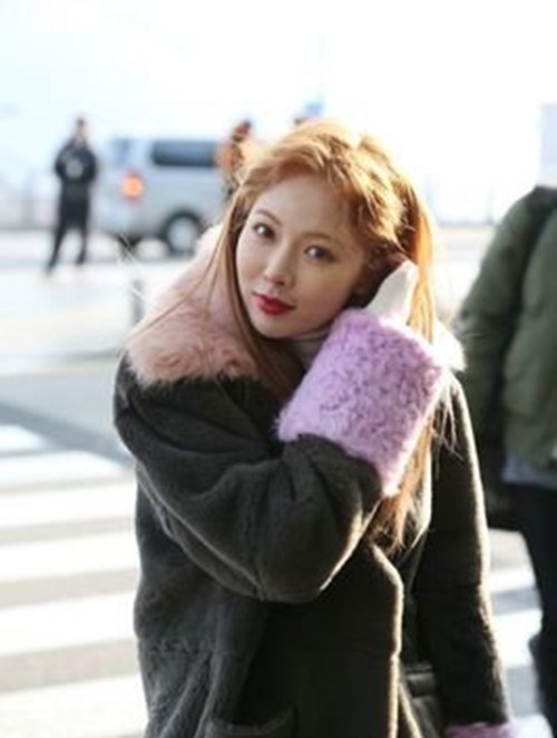 泫雅古驰内衣,泫雅同款内衣ck玫瑰花