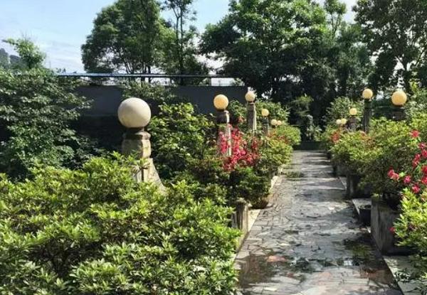 重庆主城周边农家乐推荐,重庆主城性价比高的农家乐及价格