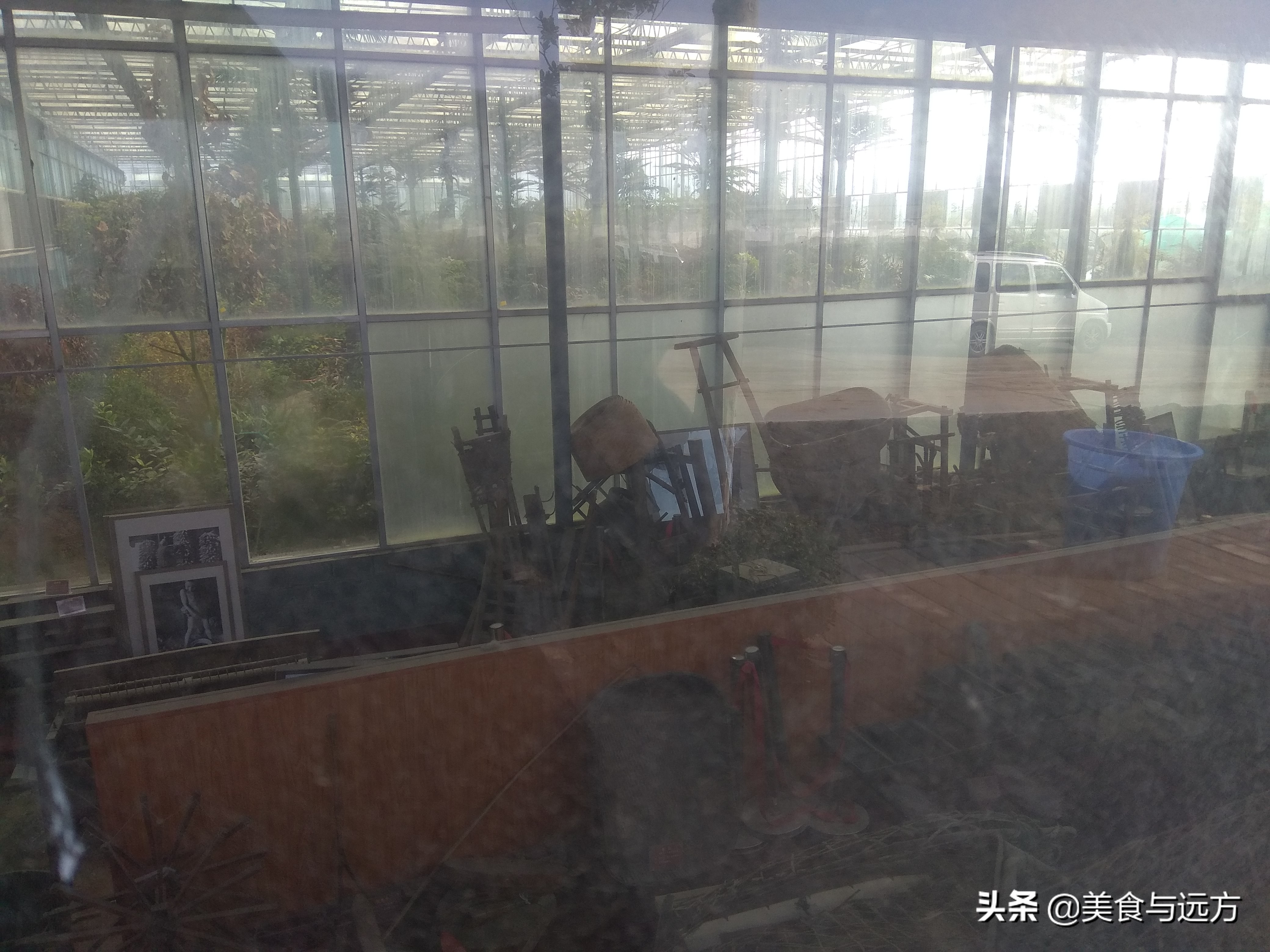 南横线上曾经有个盛农园，如今却是一片死气