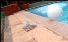 笑不停所有视频,笑不停完整版视频