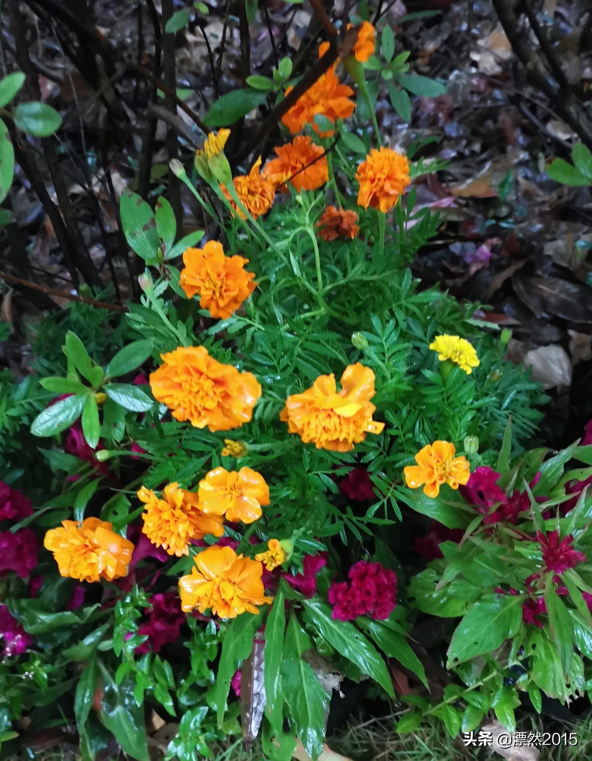 生日回想前面的日子,生日的独白