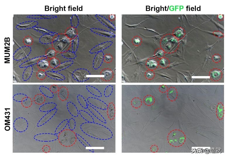 防霾口罩有用吗,石墨烯防霾抗菌口罩