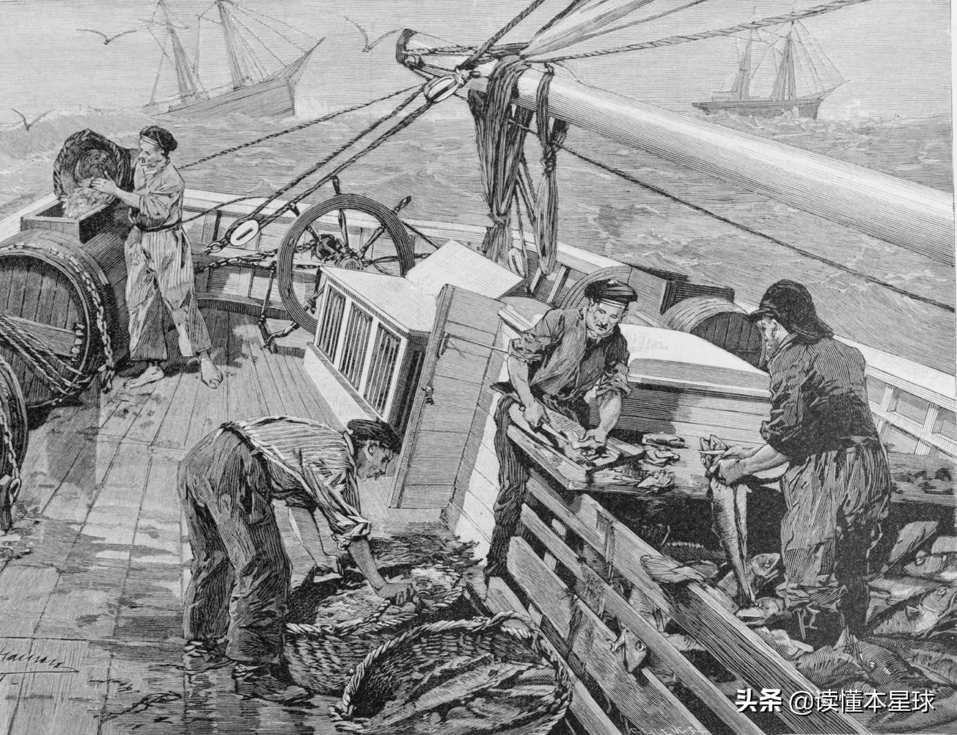 鳕鱼战争是怎么回事,英国和冰岛之间的鳕鱼战争