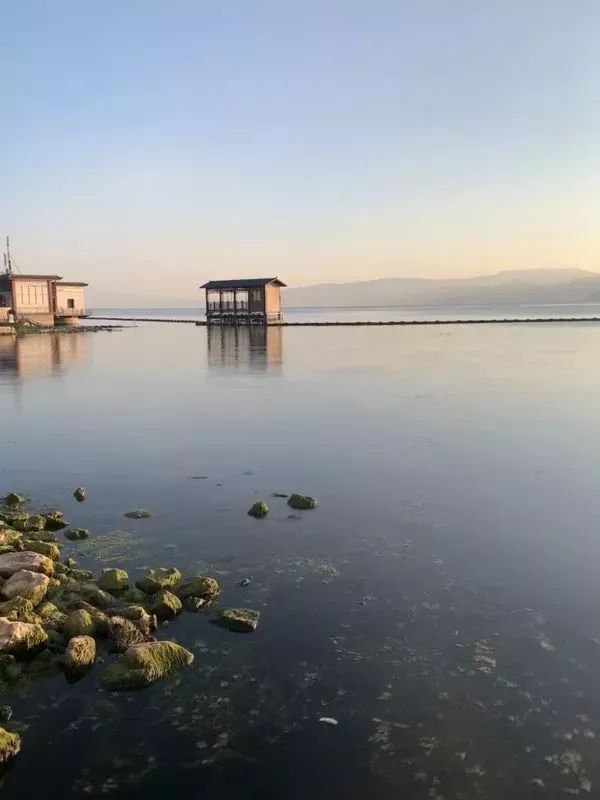 新手iphone必调设置,新手入门iphone怎么用