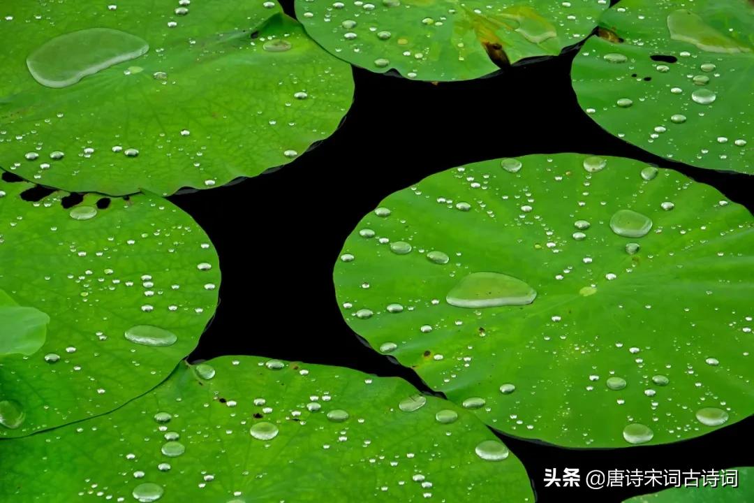 春天的样子原唱完整版,春天的样子是什么