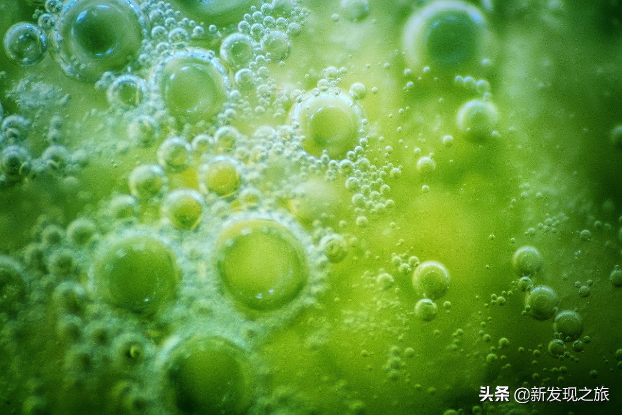 生物进化史最具代表的事件,生物进化史的意义