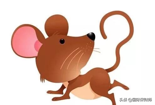 李居明2018年十二生肖运程视频,香港风水师李居明2018年牛运程