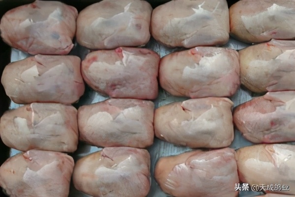 鸽子深加工销路,养鸽子有销路吗知乎