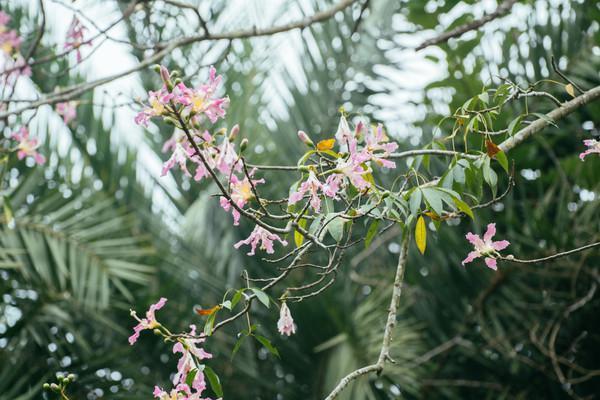 来大山里呼吸负氧离子,肇庆龙潭生态瀑布