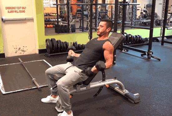 麒麟臂二头训练方法,麒麟臂的最佳锻炼方法