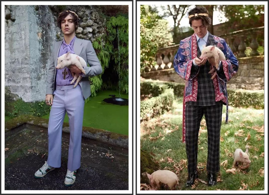 猪都拍时尚大片了，你还在穿妈妈给你买的红秋裤？