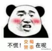 一个月查698宗交通违法,假牌上路被交警抓