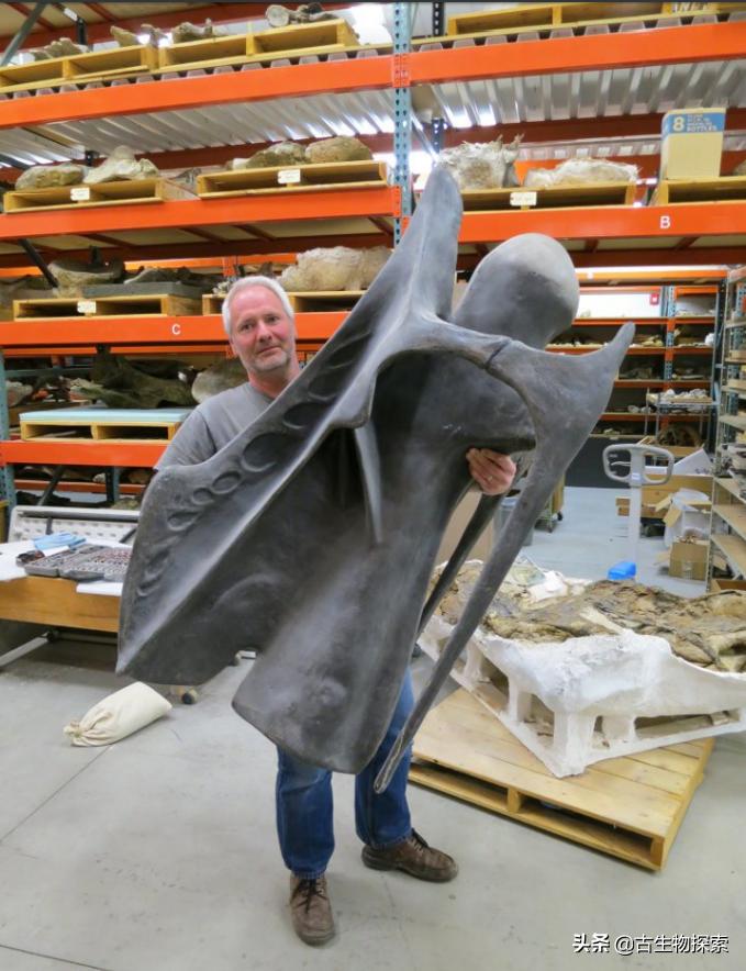 史上最大的超巨型恐龙,最新世界上最大的巨型恐龙