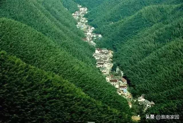 2022年安徽61个县经济排名,凤台县gdp安徽最高排第几