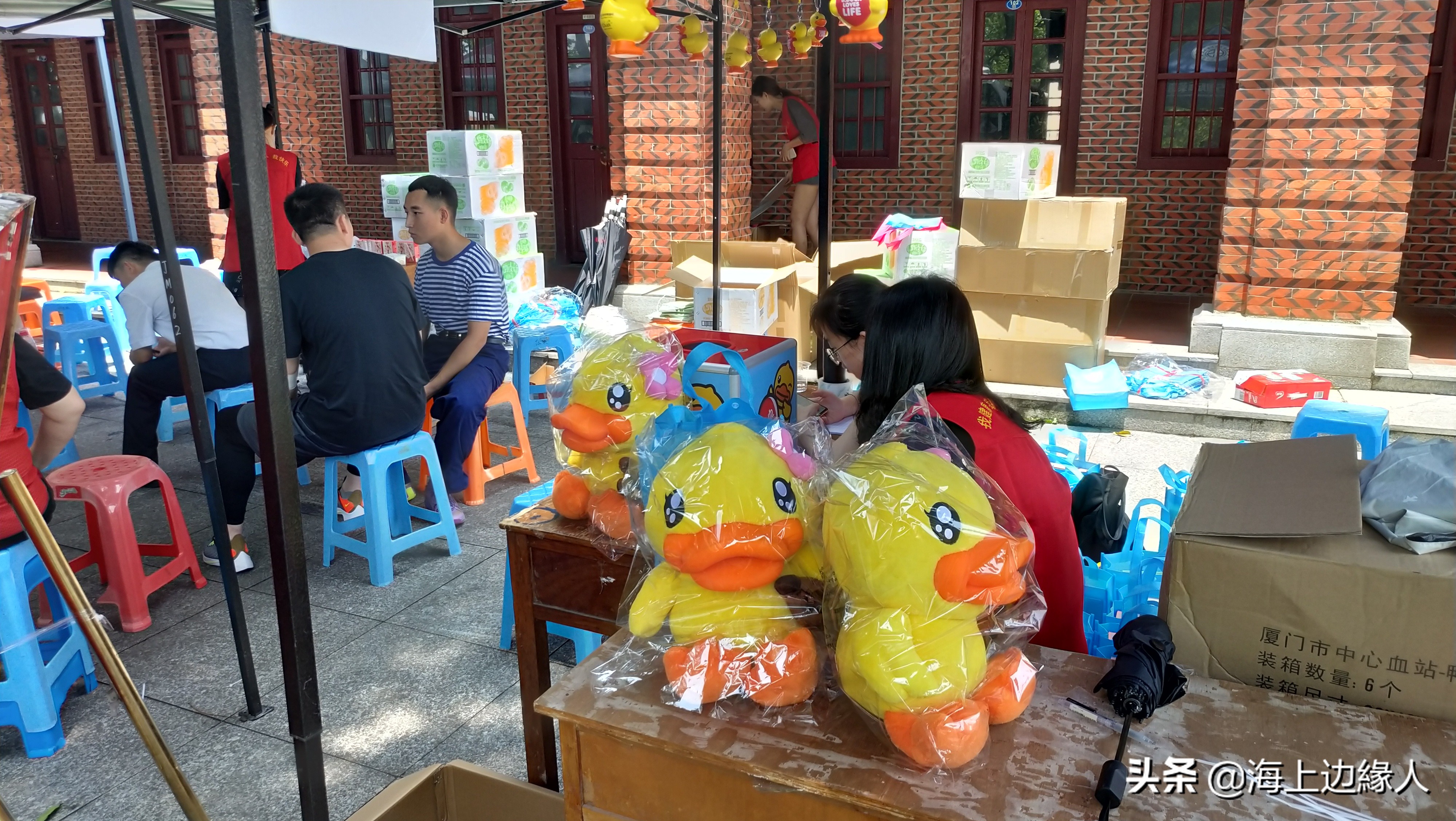 献血车到大学一定要献血吗,献血车能开进校园吗