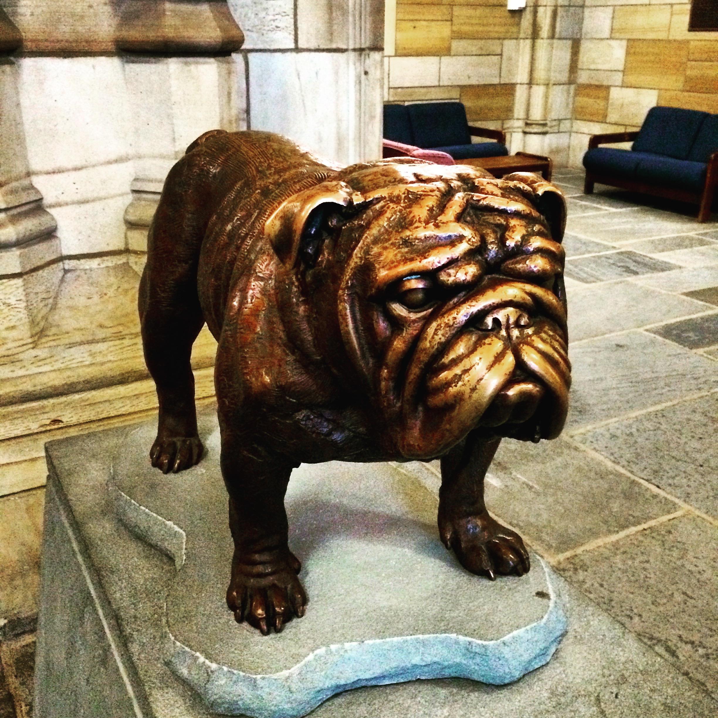 太可怕了!耶鲁大学校内竟有“骷髅会”?