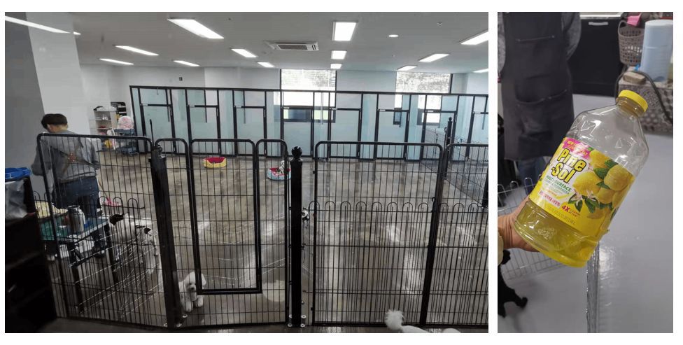 韩国宠物店推荐,韩国宠物店体验