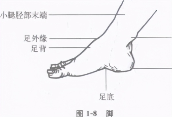 主动擒拿及被动擒拿术,擒拿格斗教学视频擒拿术