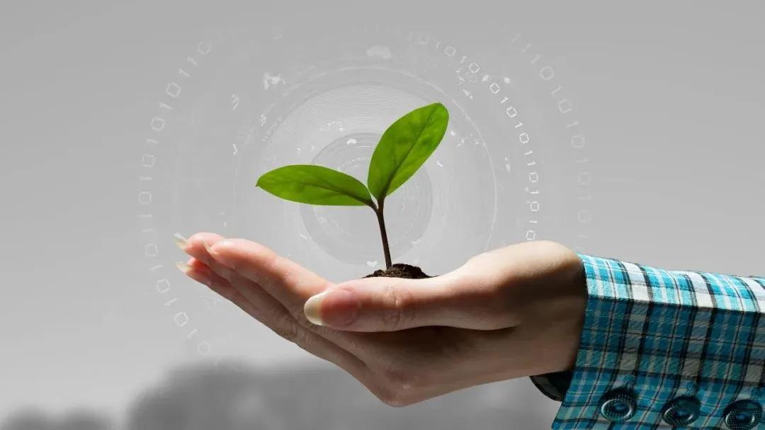 人肉搜索法律解决方案,恶意人肉搜索违法吗