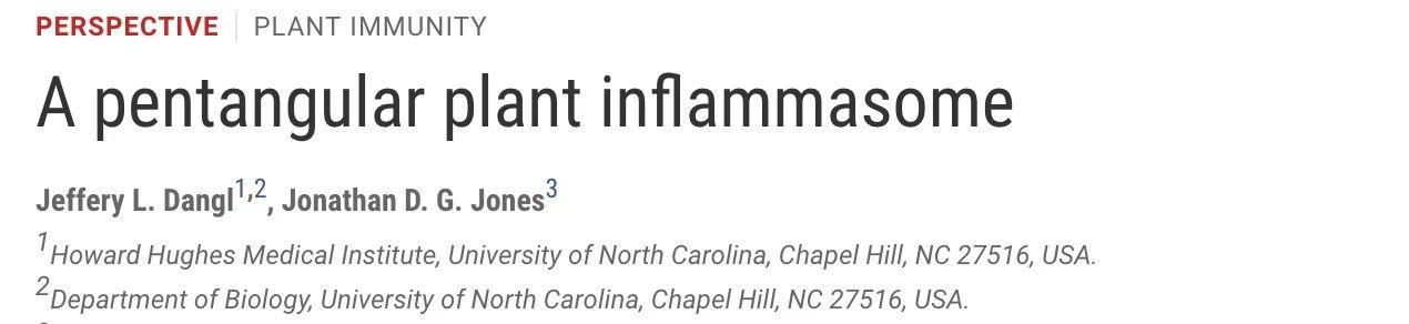 冷冻电镜最新研究,冷冻电镜研究成果涌现