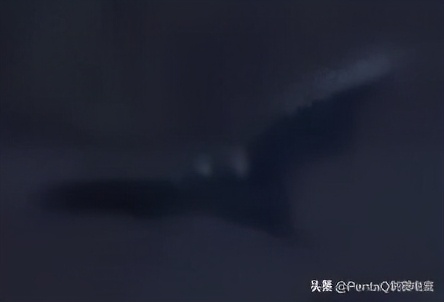 lol皮肤鉴赏,lol奥恩皮肤永恒之森