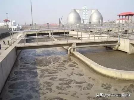 比较靠谱的有机肥,十大骗人的有机肥