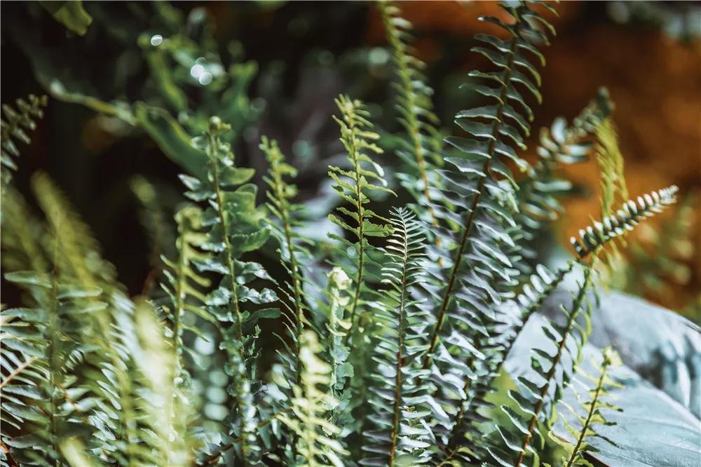 探秘！10000㎡打造世界烘焙商业新物种！！！（系列一）