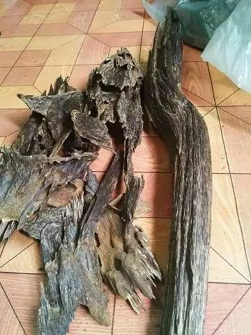 林姐聊财商,林姐聊情感