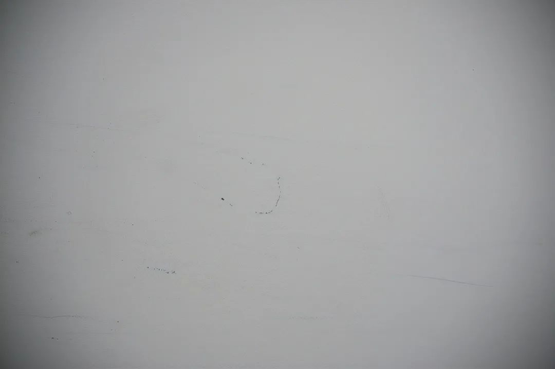 尼康z50配dx镜头,尼康zdx镜头