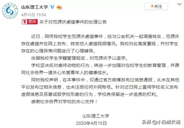 为什么虐猫会被批判,为什么现在虐猫都能上热搜