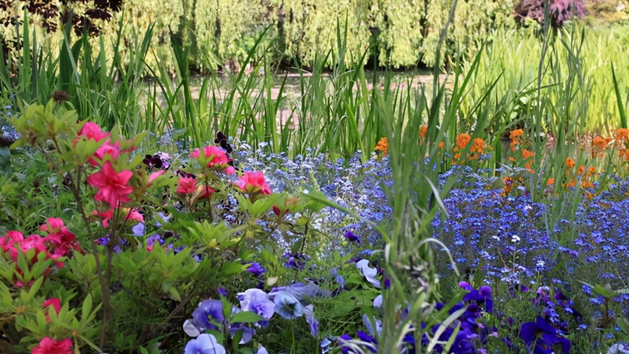 古诗里的夏天有多美,夏天的古诗诗情与画意