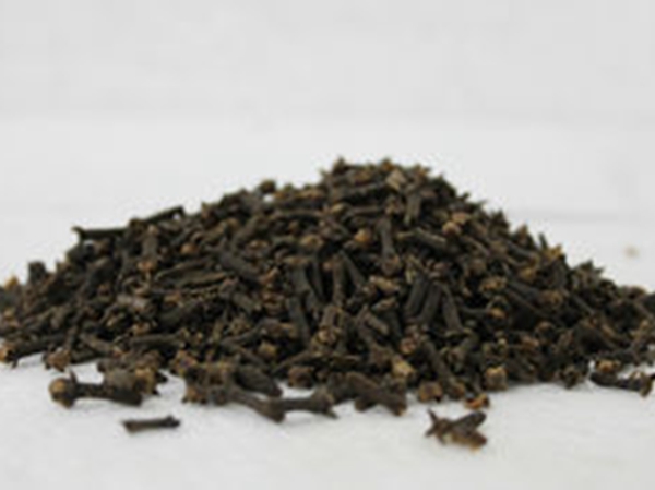 丁香制作钓鱼小药的方法,钓鱼丁香小药使用方法