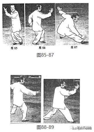 纯阳拳龙心掌视频,纯阳八步龙心掌