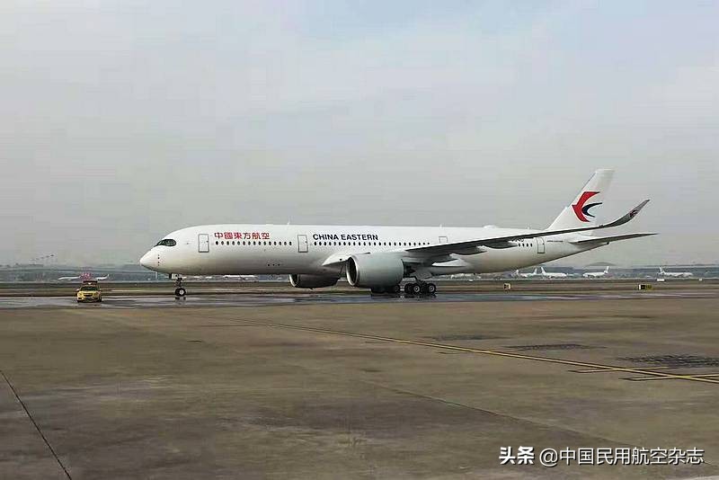 目前几个航空公司停航了,国外航空停航怎么处理