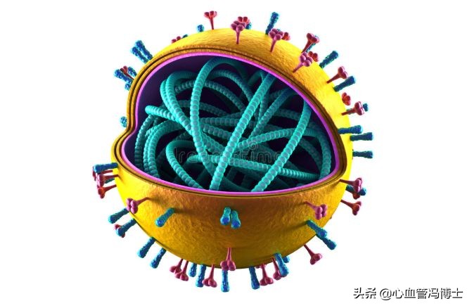 哪种病毒性肺炎治疗方法最好,13价肺炎疫苗预防哪些病毒