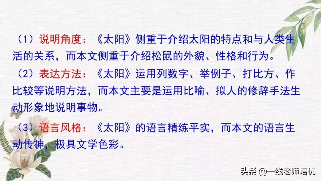 语文五年级上册第17课松鼠资料,部编版五年级上册第17课松鼠课件