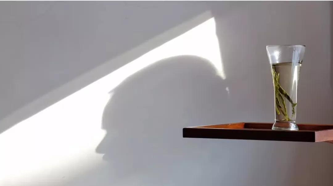 好喝的白茶白牡丹,好喝的白茶有哪些功效